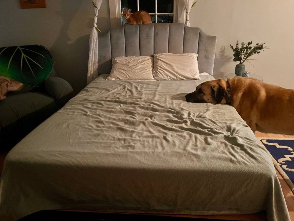 Modest Mouse tweet media