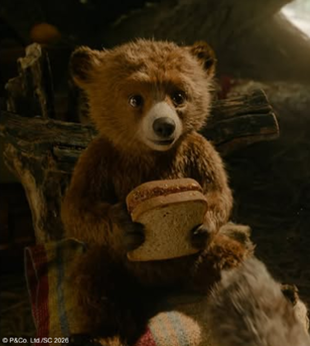 パディントン (@PaddingtonJapan) / Posts / X