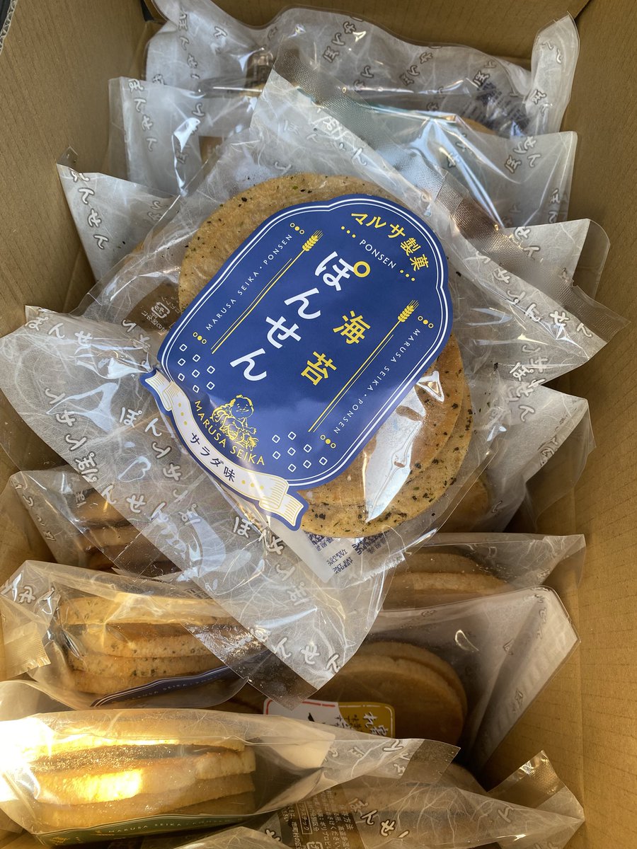 いつもぽんせん！！ 今日もぽんせん！！！