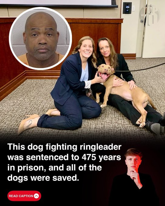 DIFFERENCE BETWEEN INDIA AND OTHER CIVILIZED COUNTRIES!!

I have got no words to comment on this!
This is what our country is going towards!!

<a href="/WHO/">World Health Organization (WHO)</a> #SaveIndianDogs <a href="/UN/">United Nations</a>
<a href="/UNHumanRights/">UN Human Rights</a> <a href="/BBCBreaking/">BBC Breaking News</a>  <a href="/BBCWorld/">BBC News (World)</a>
#SaveIndianDogs <a href="/THaPriYa123/">THaPriYa</a> <a href="/UNHumanRights/">UN Human Rights</a>