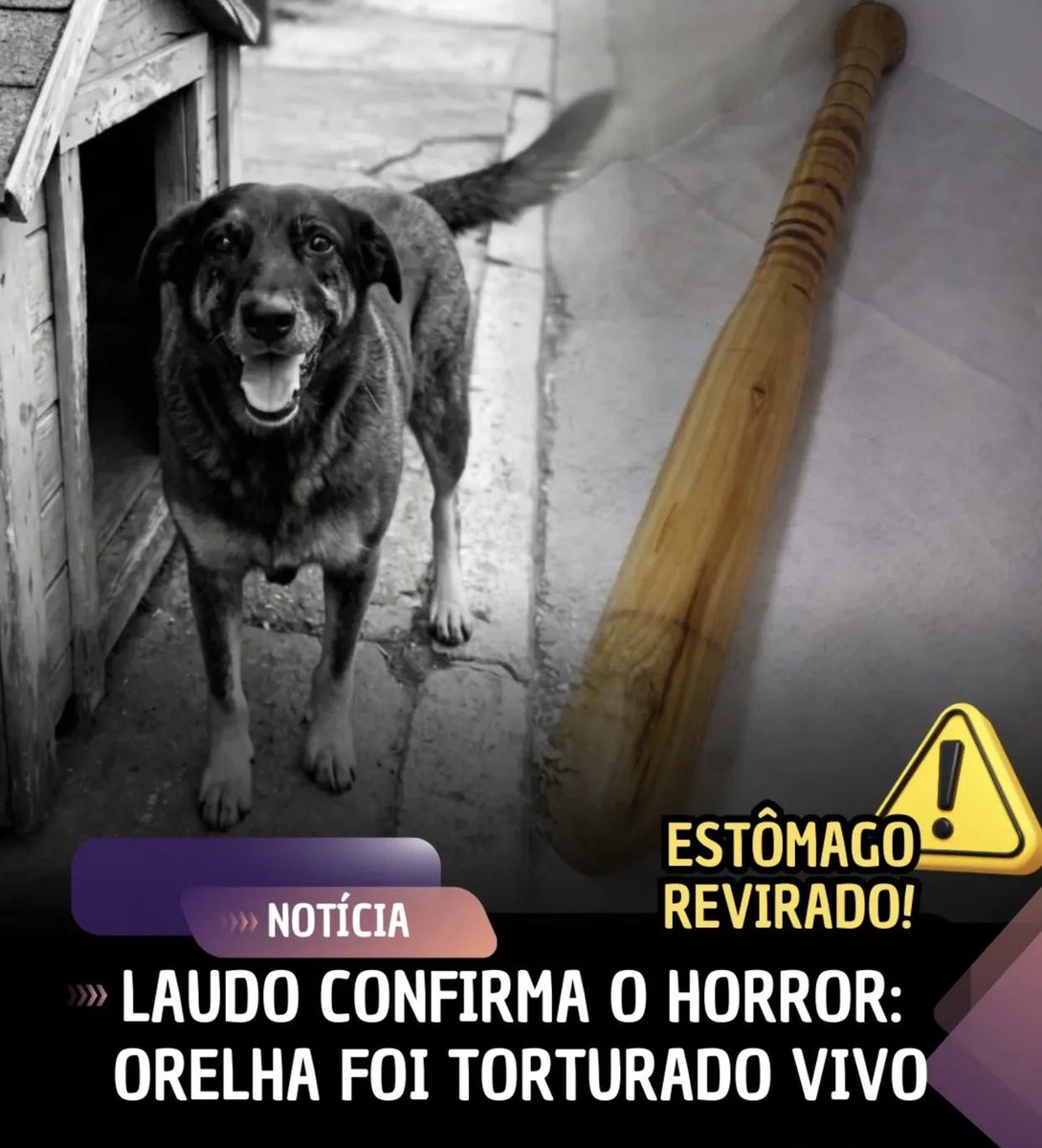 crovislimone2's tweet image. Se fosse na Sicília a máfia já teria apagado esses FDP.