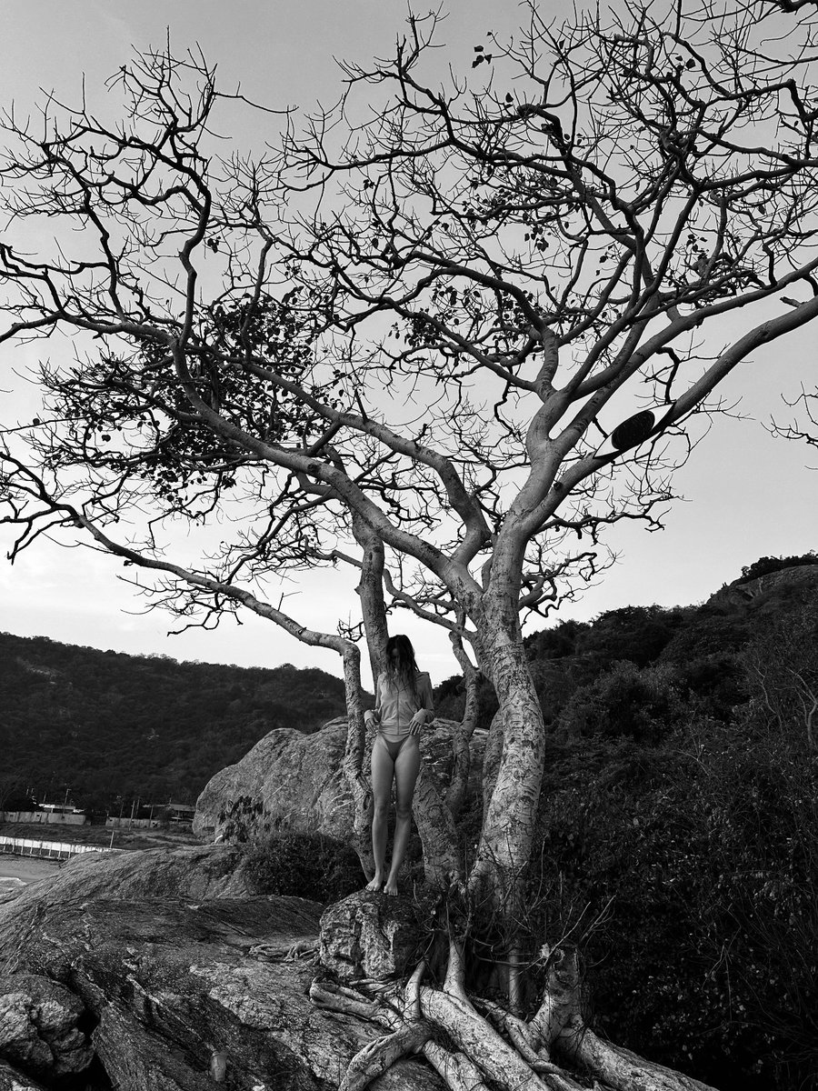 ShockAlexandra's tweet image. 