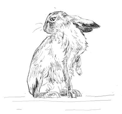 C3_ThreeJay's tweet photo. FAAKING BANNY #art https://t.co/bZyuCMdHSa