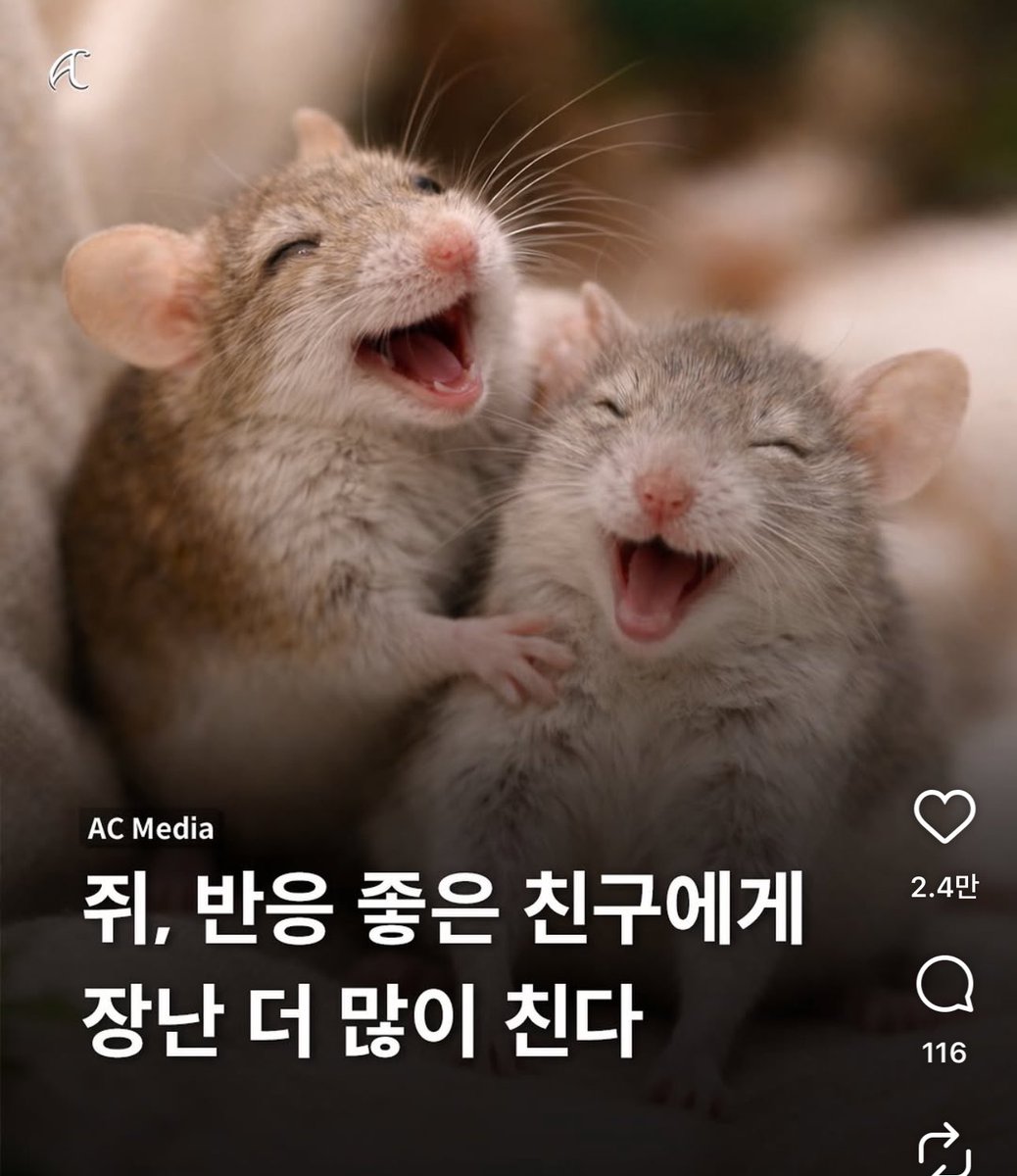 haemchichi's tweet image. 그래서 쥐덩이가.....현딘이에게.....