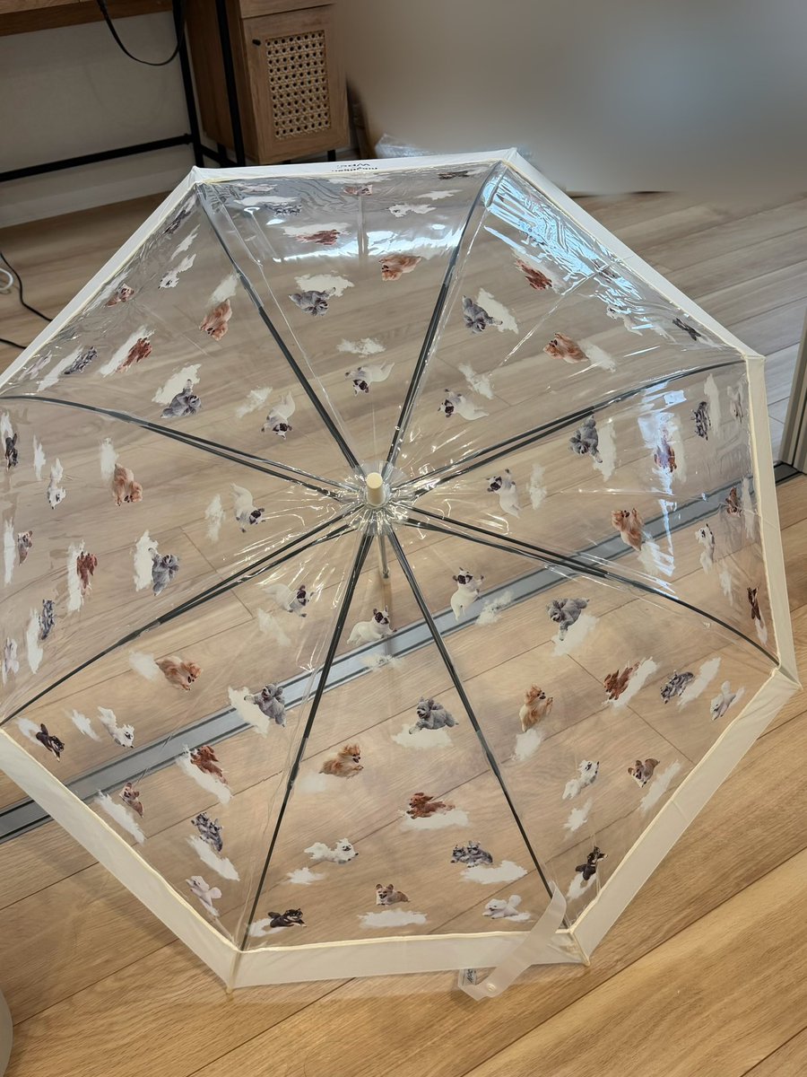 ポピー ロボメロ 超合金⚠️傘の持ち手が折れています⚠️ とってもご機嫌な傘が届いた☂️ ちなみに折りたたみ傘もこのシリーズ🐕