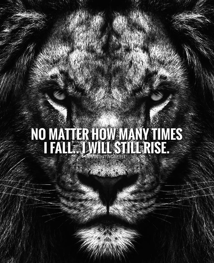 Good Wednesday morning my beautiful friends! 🤍

Always remember…No setback, failure or challenge can keep us down when we lean on His grace. He is our strength, our lifter and the One who renews us every morning.

Have a beautiful blessed day e everyone 🤍🤍🤍