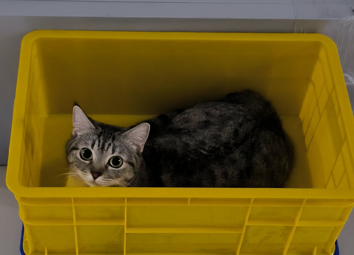 lgsg dihak milik....