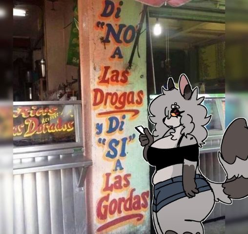 sonox_pup's tweet image. aprende zyly