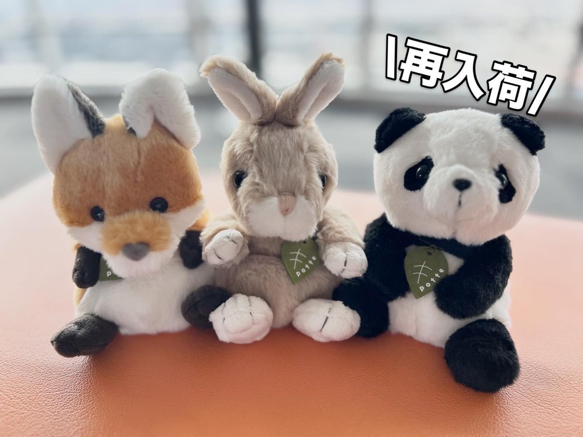 ✨再入荷のお知らせ✨
こんにちは🌞
人気の #potte が再入荷しました。

この子たちの中で個人的オススメはキツネです！
しっぽがモフモフ大きくてかわいいです😍
店頭で一度、ご覧ください♪

#skyzoo
#スカイズー
#東山スカイタワー