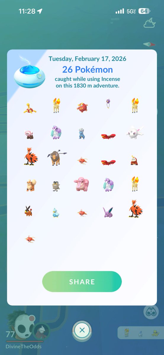 Divinity tweet media