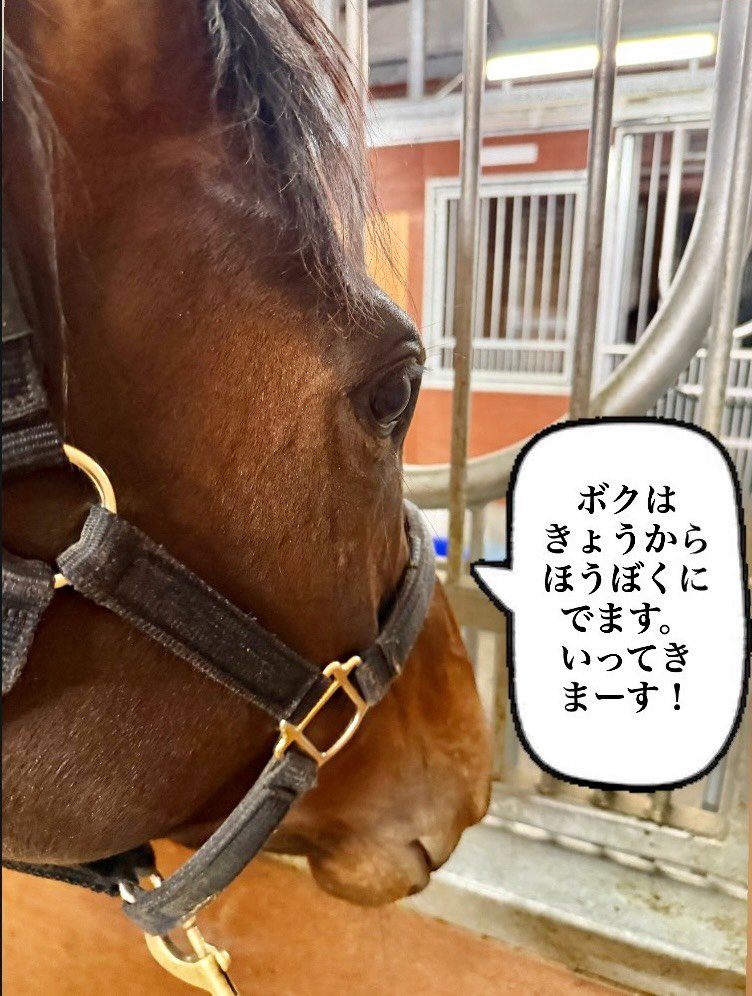 AcylLSJsFD55673's tweet photo. #おマル
#おまる 
#オマル https://t.co/64VB5oXGTO