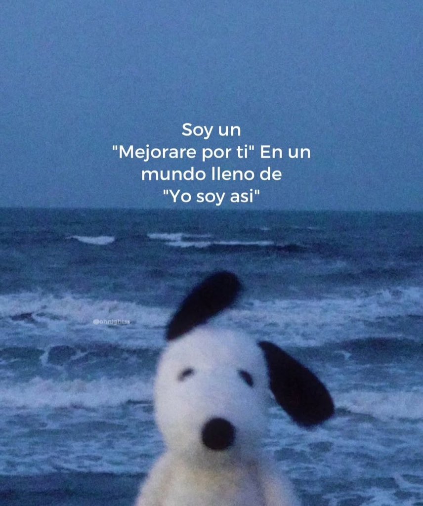 🌙 mini textos (@soyminitextos) on Twitter photo 