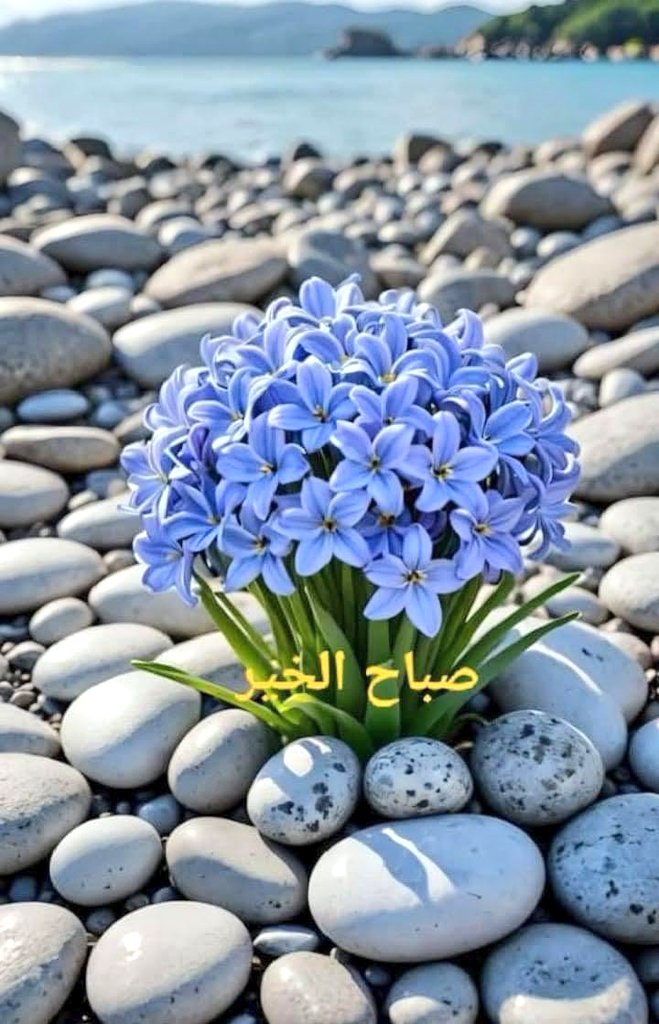 صباح الخير
رمضان كريم
اللعبة الخفية
لا إنتخابات حسب مواعيد الداخلية
للآن لم يأذن مصرف لبنان للمصارف بفتح الحسابات للمرشحين بعد ٨ أيام من فتح باب الترشح
إذا هذا سبب جديد للطعن!
ليلغوا زيادة البنزين..ويزيدوا القيمة المضافة ل٢ تكون عادلة
سوريا
يطرشون بالأطرش جدار الإنفصال
غباء معرفي