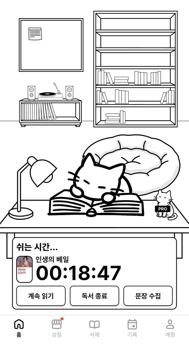 샤르 tweet media