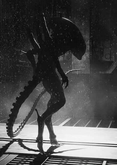 amalgamatomaton tweet media