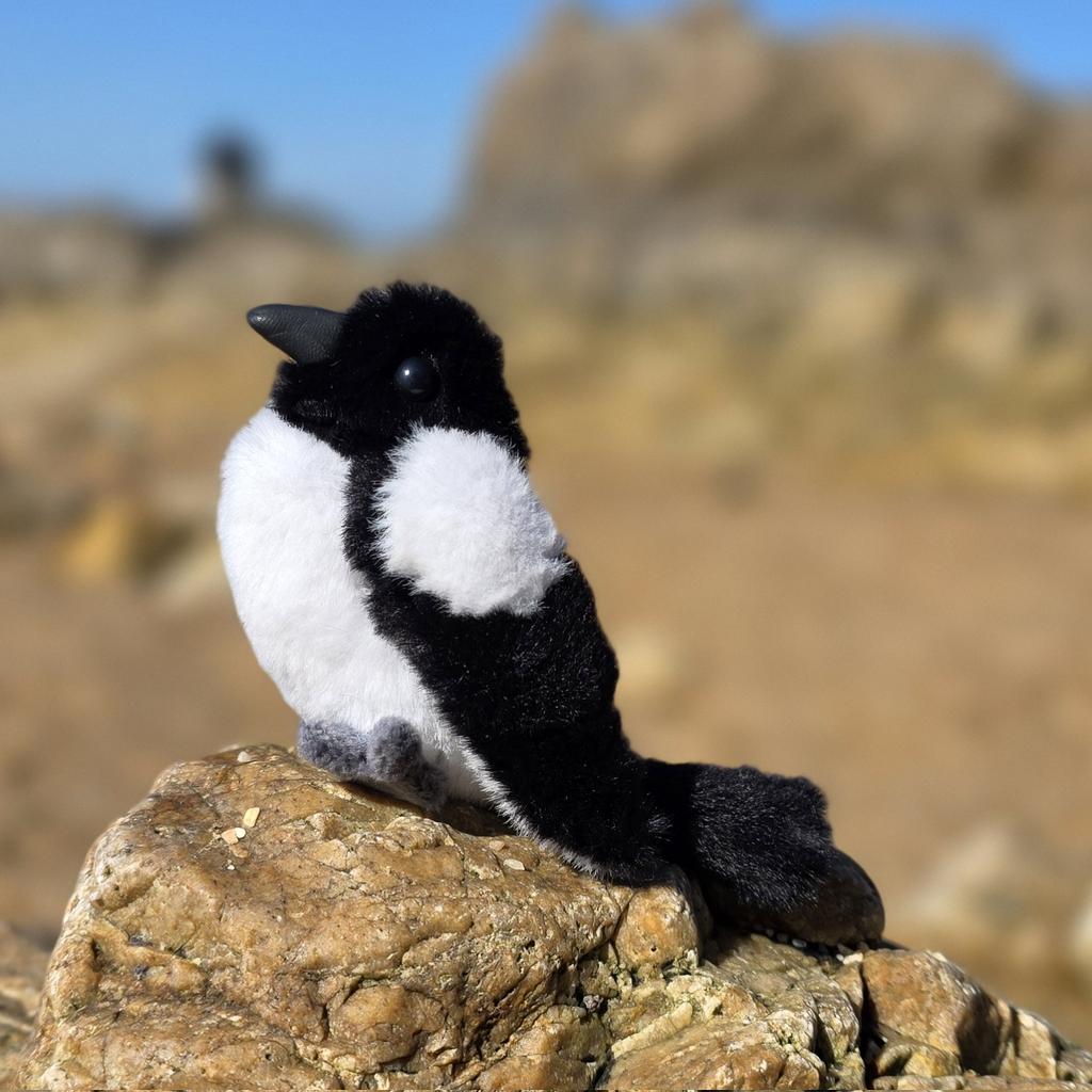 소소한 인형공방💕 tweet media