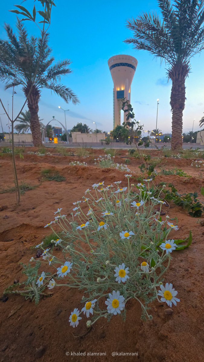 ﮼خالدالعمراني ﮼أبوفرح tweet media