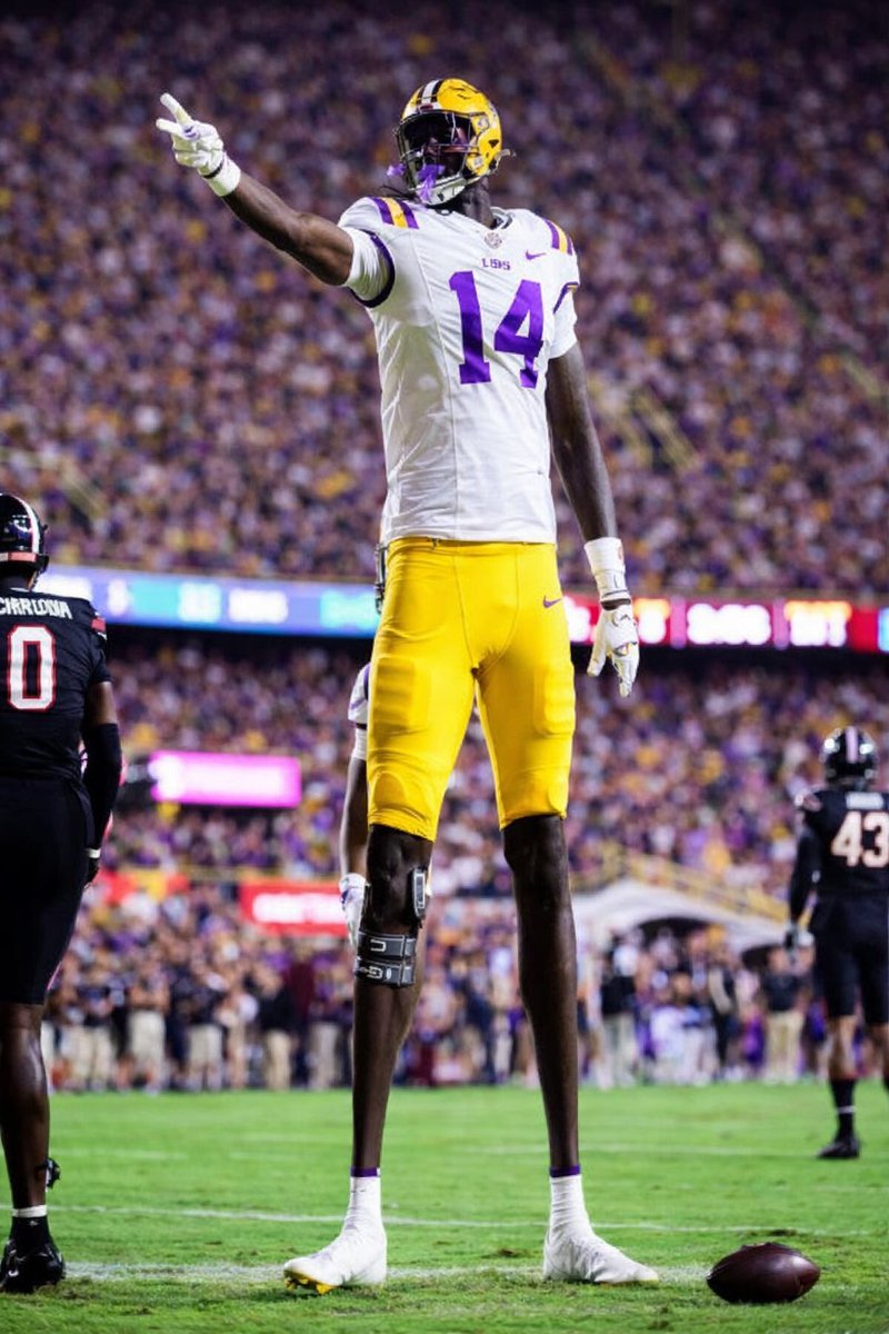 Bayou Intel tweet media