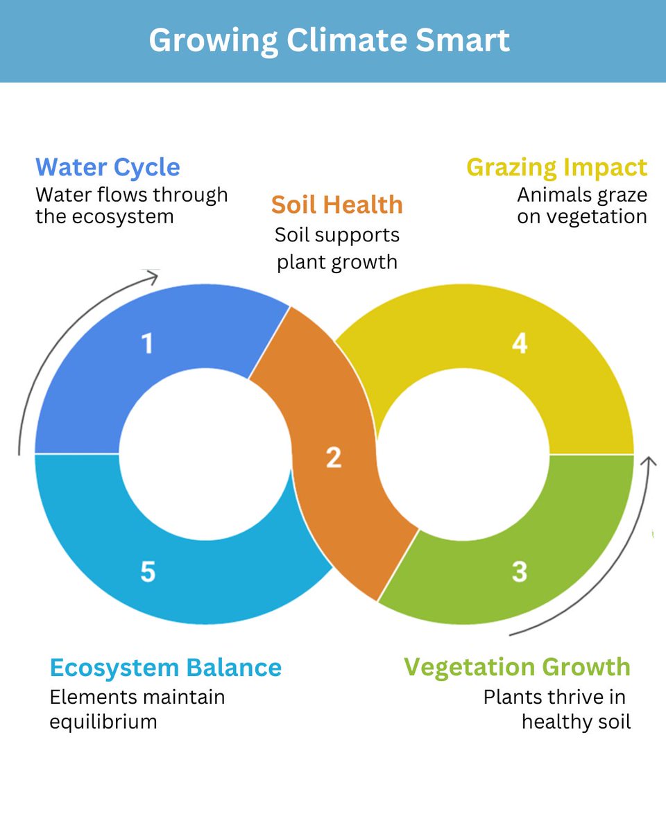 Southern Qld Landscapes tweet media