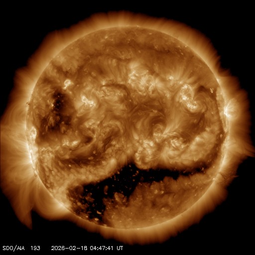 SCiESMEX/LANCE/UNAM tweet media