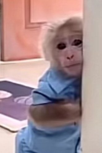 13 tane tiviti niye okudunuz ki ben oylesne yazmstm ve kendi teorimdi..