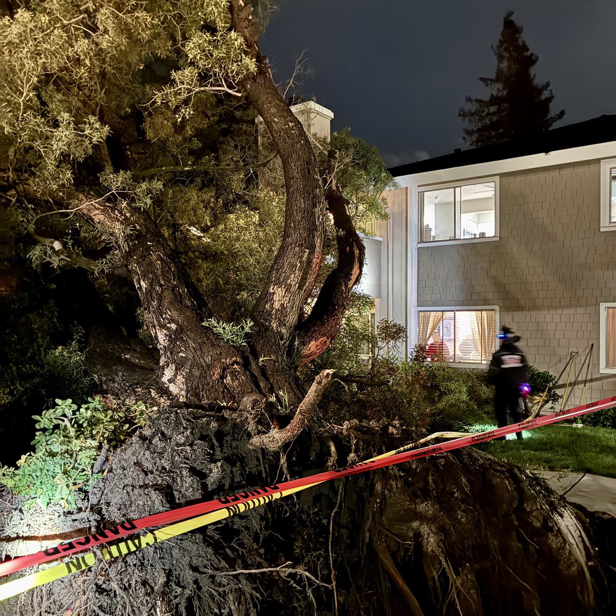 SJFD's tweet photo. This evening, #SJFD responded to reports of a fallen tree on the 5500 block of Sean Cir. Tree fell onto a two-story apt building. No residents were injured or trapped and the building sustained no structural damage.

TOC: 6:23pm https://t.co/rhUYoo1Wsk