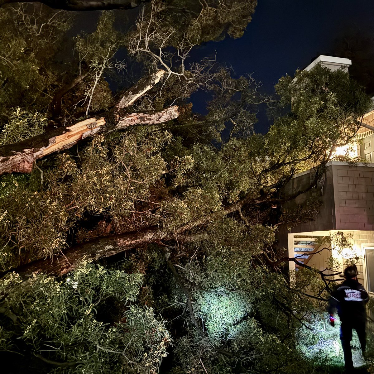 SJFD's tweet photo. This evening, #SJFD responded to reports of a fallen tree on the 5500 block of Sean Cir. Tree fell onto a two-story apt building. No residents were injured or trapped and the building sustained no structural damage.

TOC: 6:23pm https://t.co/rhUYoo1Wsk