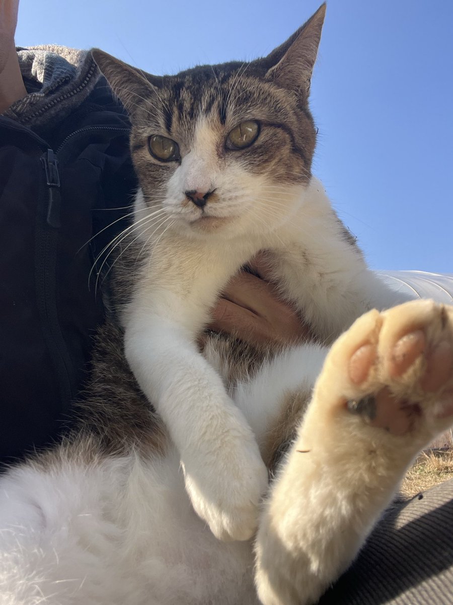 今日はミイちゃんとよく会います♪ そっかぁ……来月でひろせ農園も丸3年