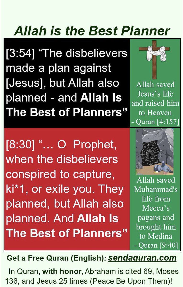 Dr. Dolphin 🇺🇸 tweet media