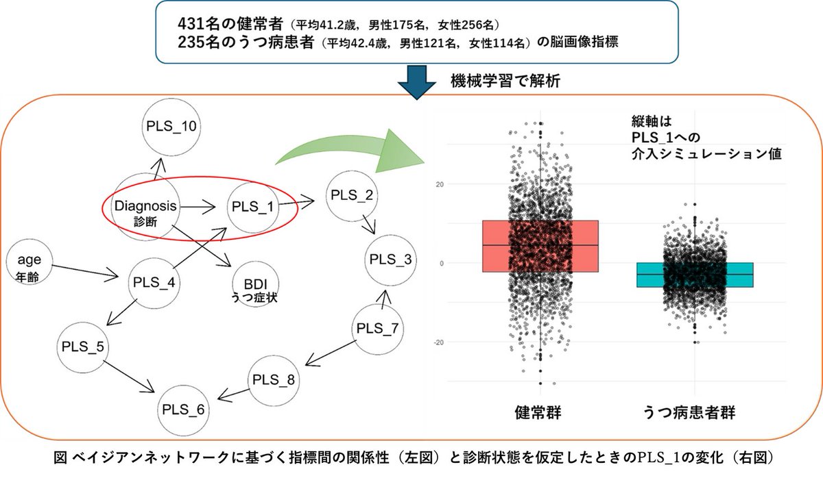 うつ病診断と脳機能結合の潜在的な関係構造が明らかに―機械学習を用