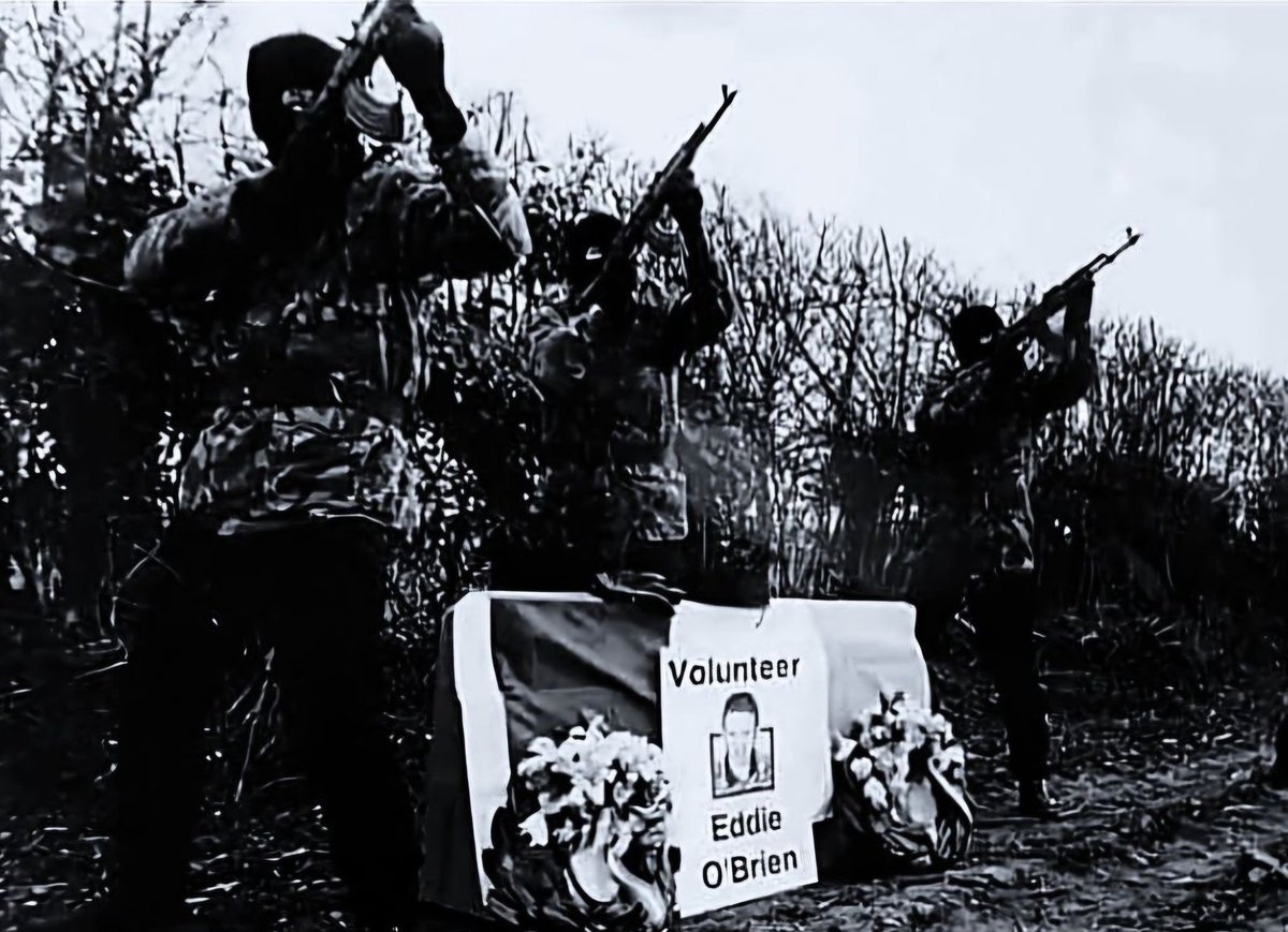 Adrian O'Raghallaigh tweet media