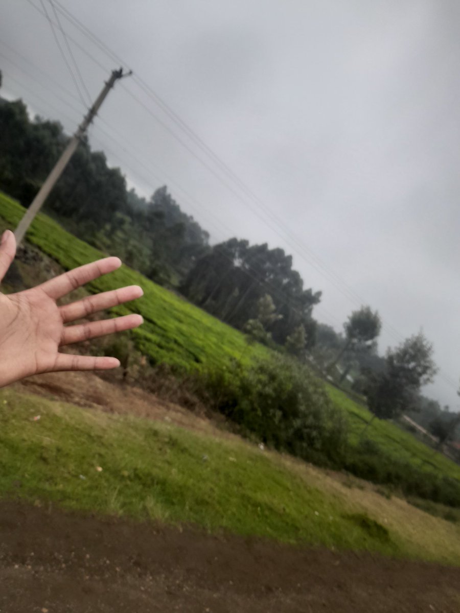 𝗝𝗼𝗷𝗼𝘄𝗮𝗻𝗷𝗶𝗿𝘂👅💦❣️ tweet media