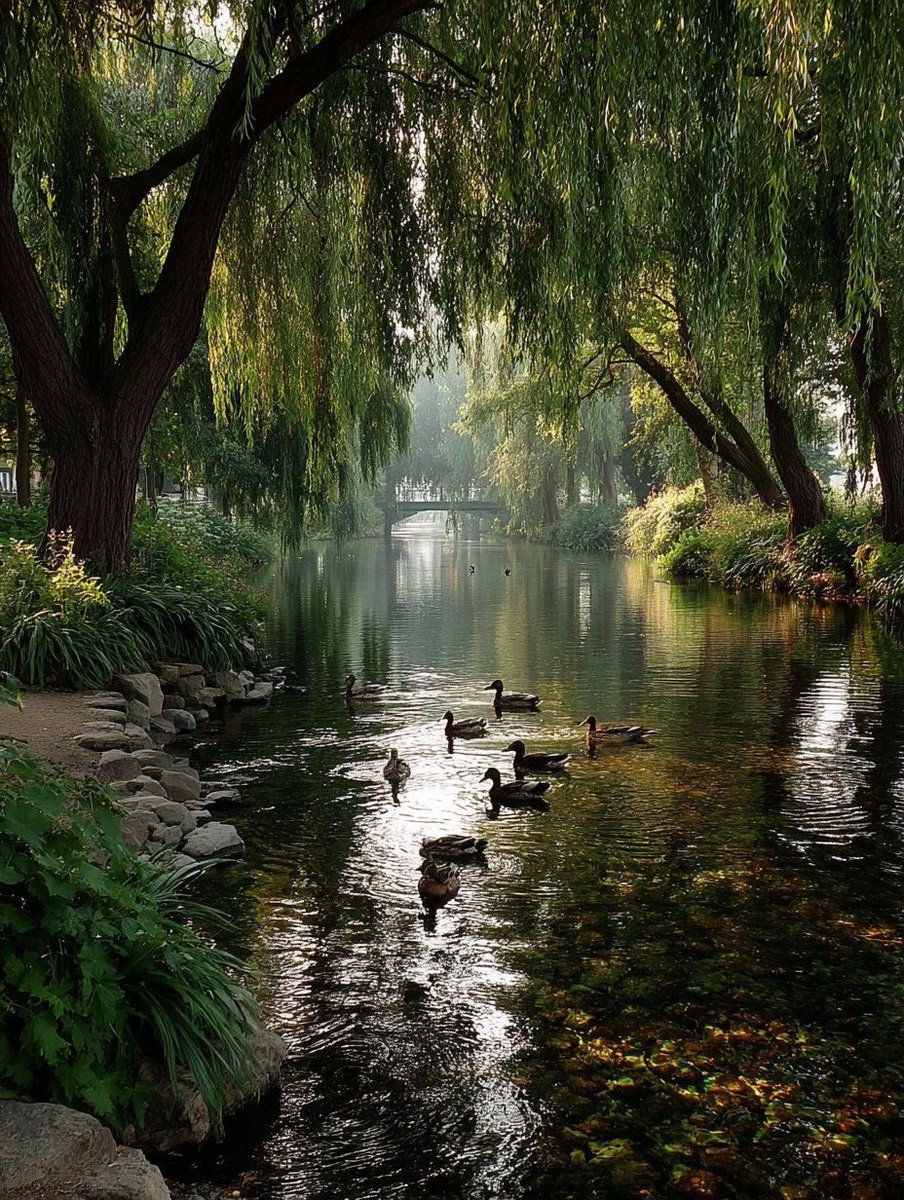 spooky_nature's tweet image. 