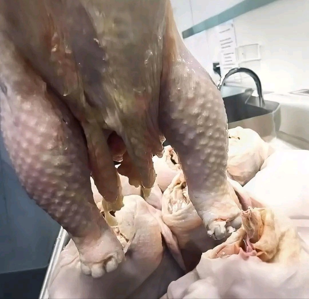 Good morning my lovely mutuals

More success to all we do 
Except from R@pist God will punish all of una