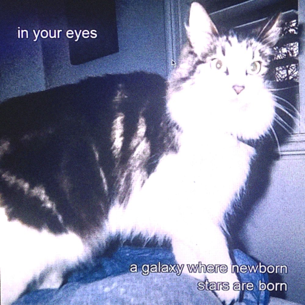 goodbye, my kitties! 🐈‍⬛ tweet media