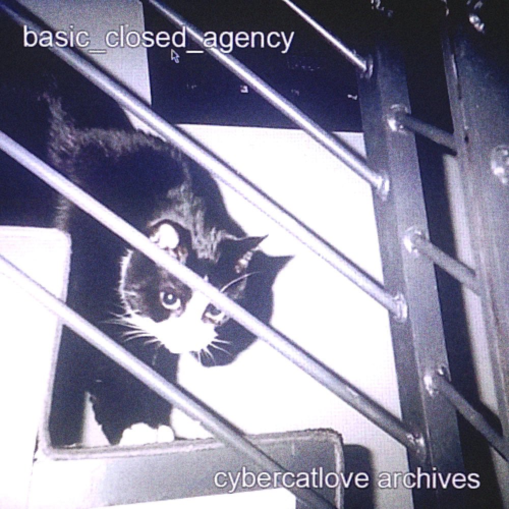 goodbye, my kitties! 🐈‍⬛ tweet media