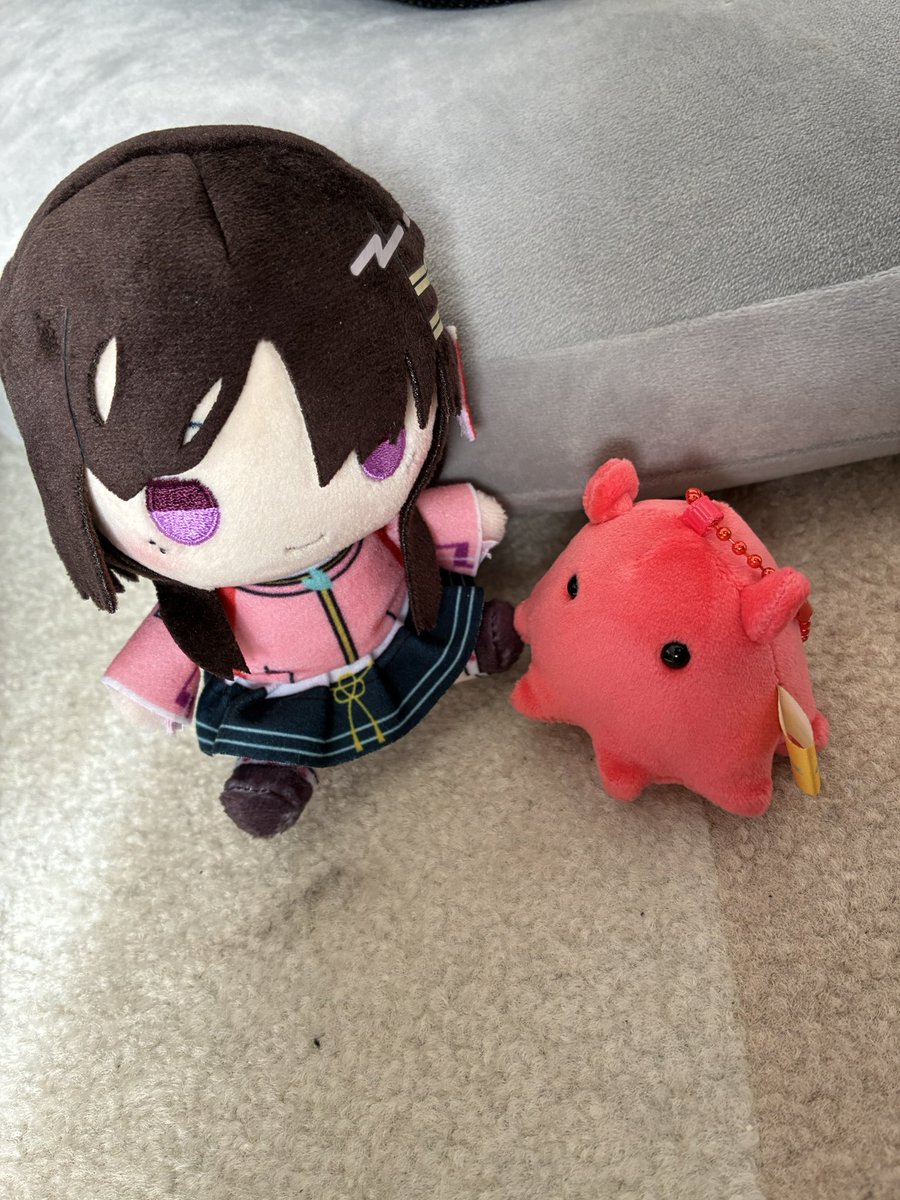 もちもちかわいいさー