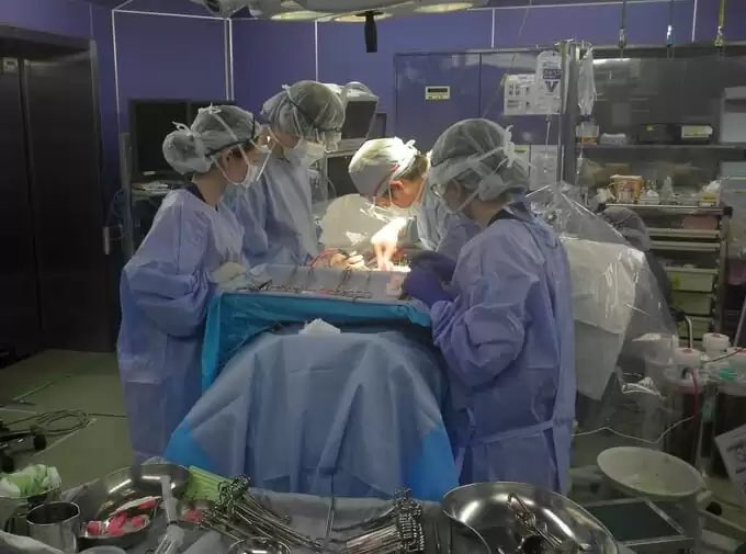 太田みぎわ Migiwa Ota tweet media