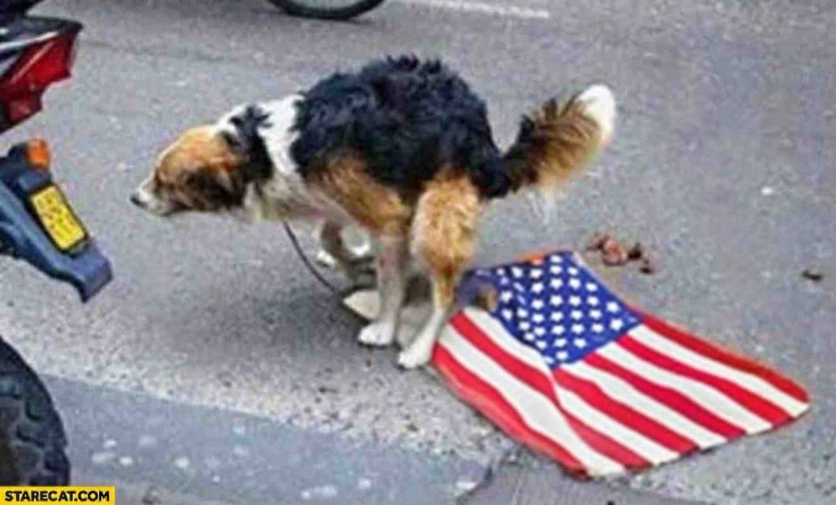 tommy leo tweet media