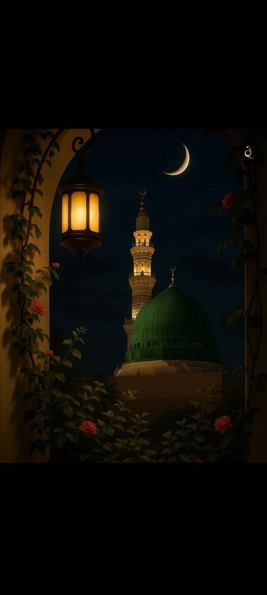 Mehmet Okur محمد أوكور (@okur14) on Twitter photo 