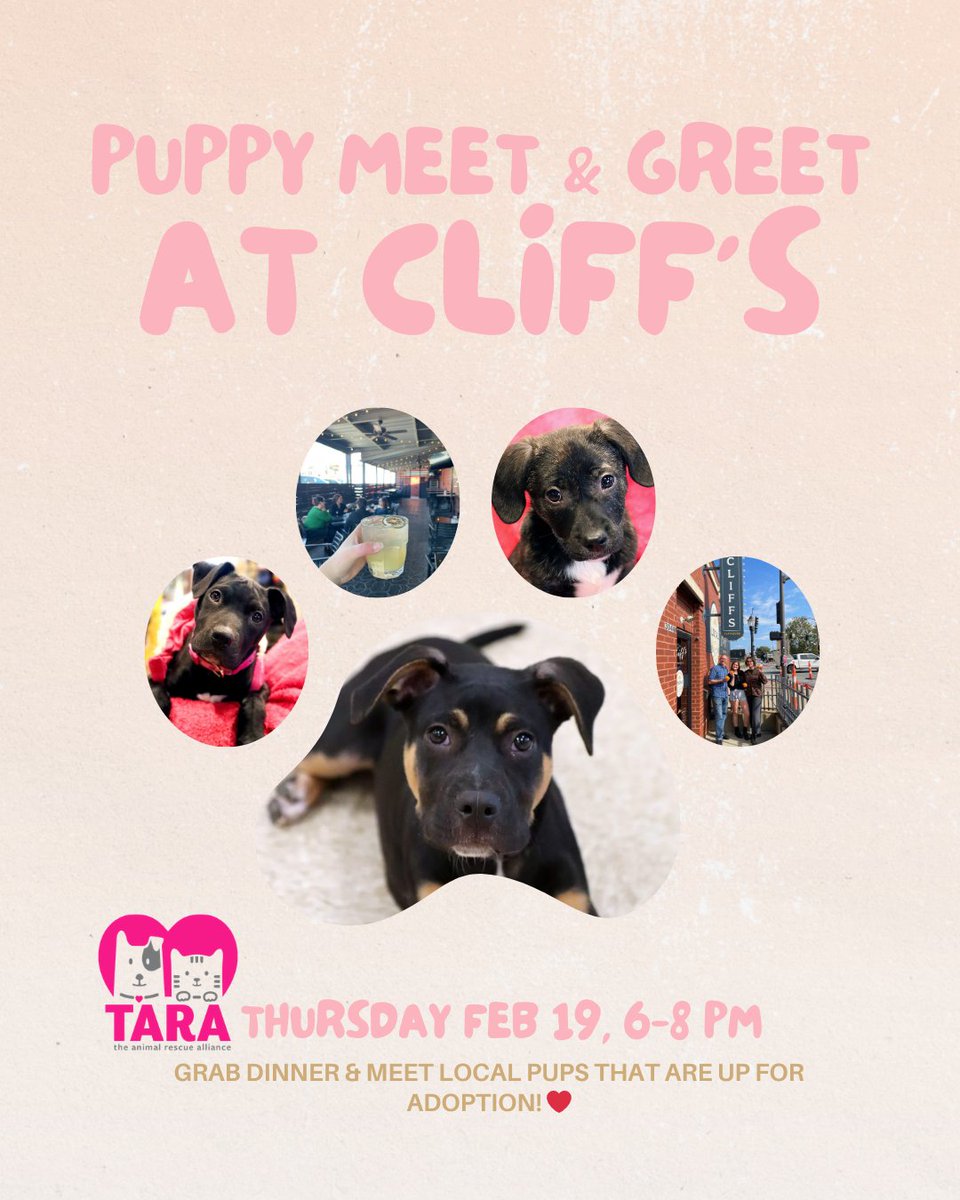 Puppy cuddles + yummy food + supporting The Animal Rescue Alliance = the best night ever! 🐾

Meet at our patio on Thursday, February 19th from 6-8pm for a puppy meet and greet from our Give Back Thursday partner, TARA! 🐶