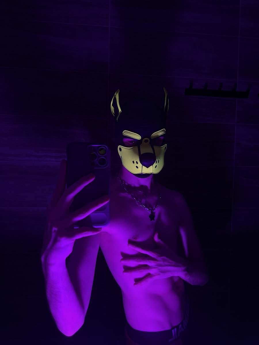 Sparkypupx's tweet photo. Woof in the mirror🐾 https://t.co/xEOTw3On6t