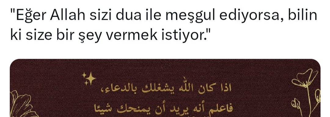 Mehmet Okur محمد أوكور (@okur14) on Twitter photo 