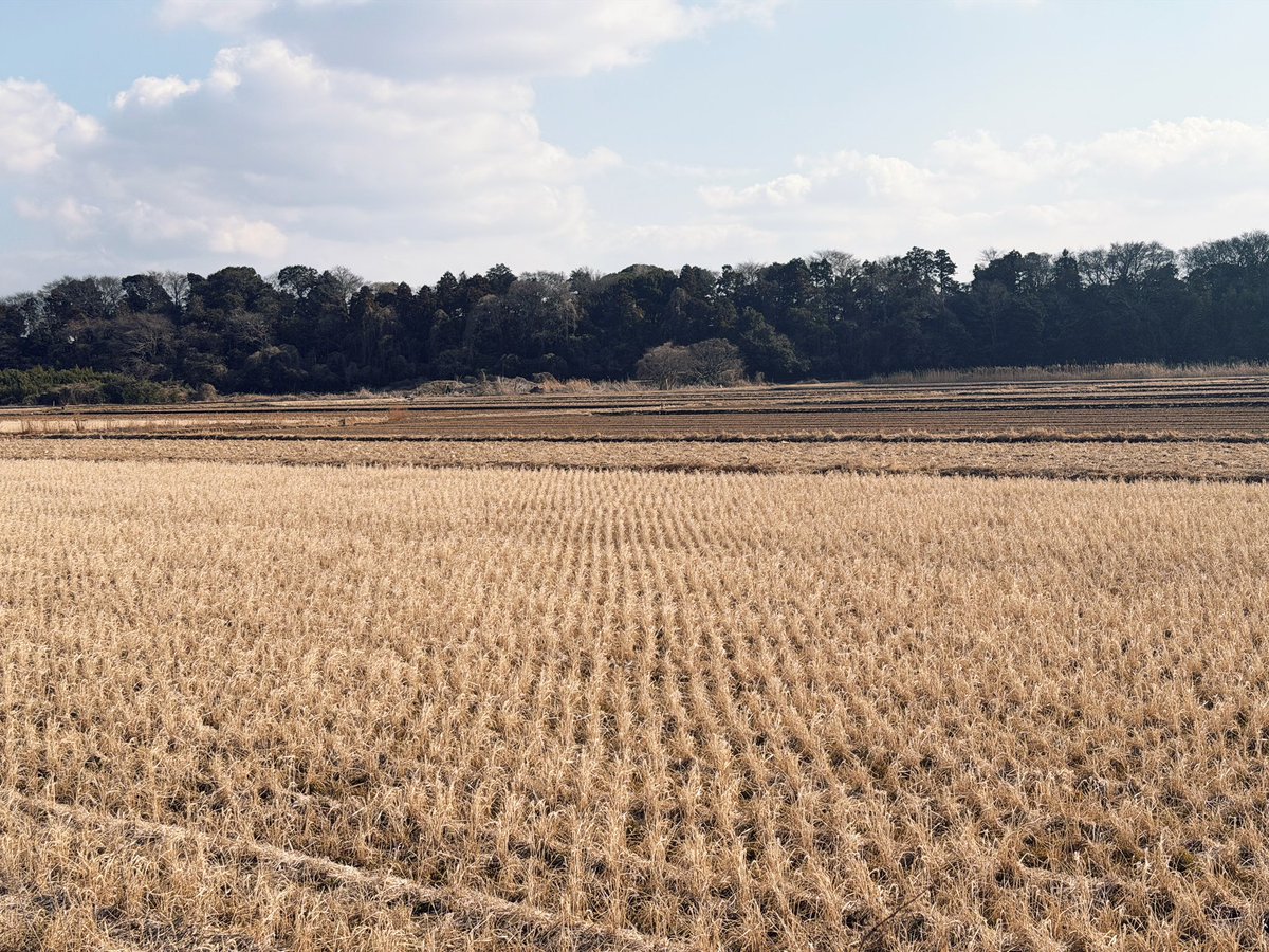 千葉にあるこういう風景が大好き