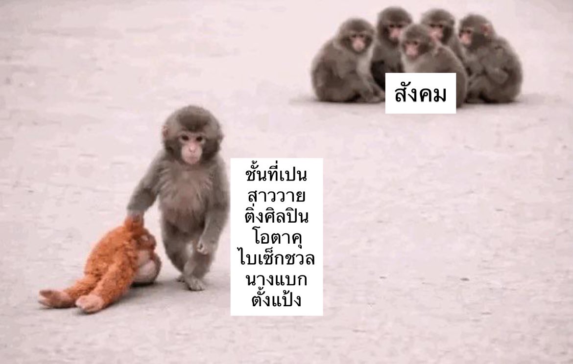 ชั้น ยืนตรงไหนได้บ้างๆ