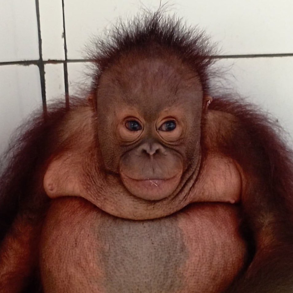 she has serious case of sweetiekins face