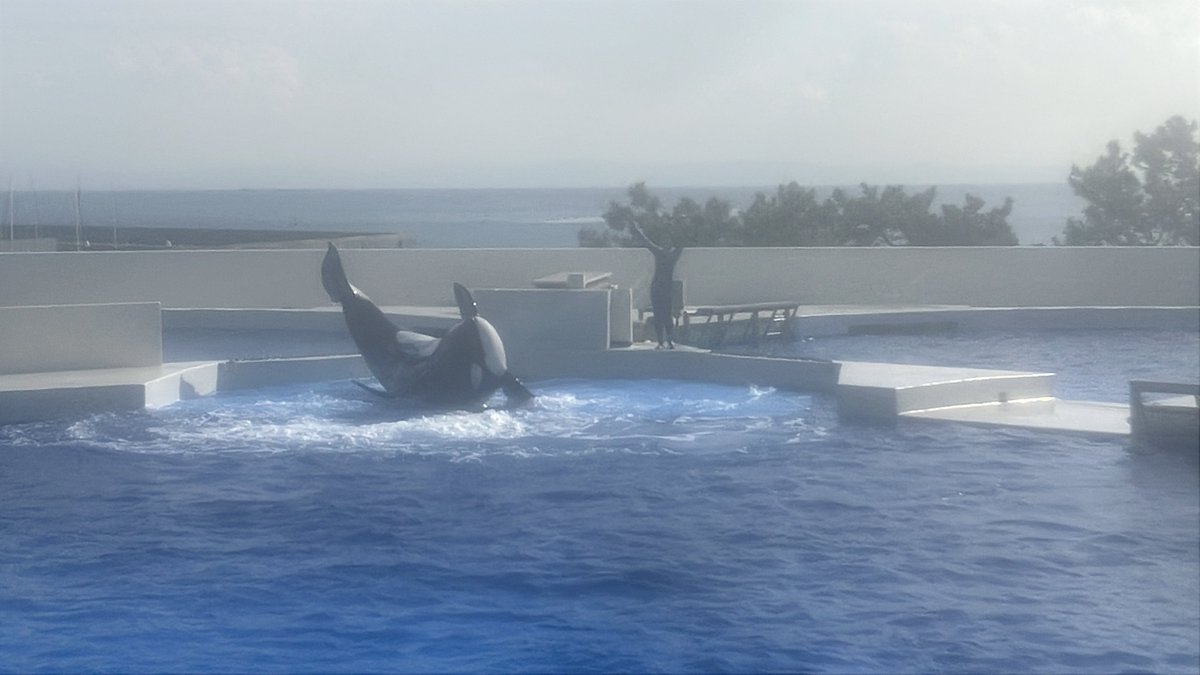 一旦左端10列目まで水💦
やっぱ今日は何かいつもと違うような…

2/18 14:00