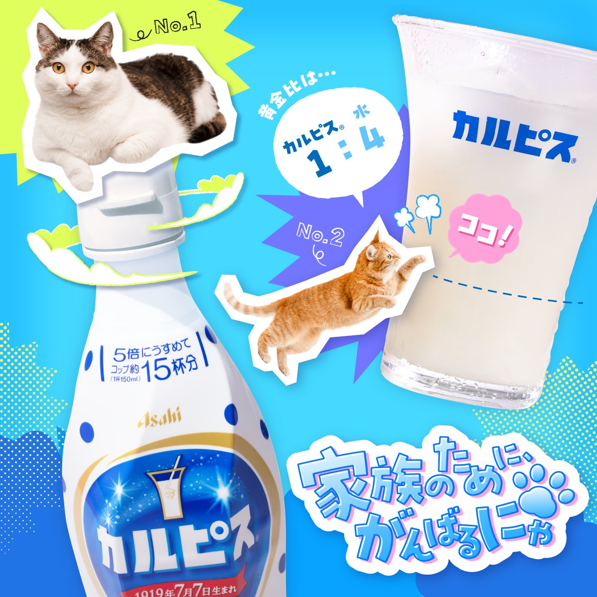 カルピス“水玉通信”」 (@calpis_mizutama) / Posts / X