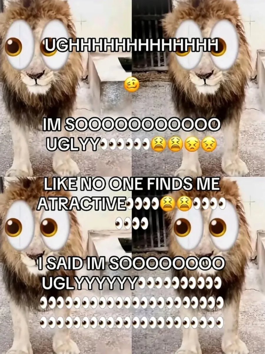 LiterallyMeDogs tweet media