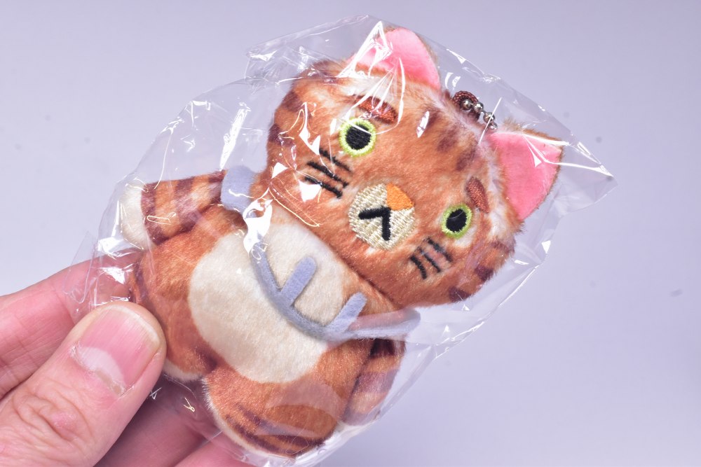 ✨新商品案内 2026年2月18日(水)✨／ ☑️CACAOCAT もふもふぬいぐるみ